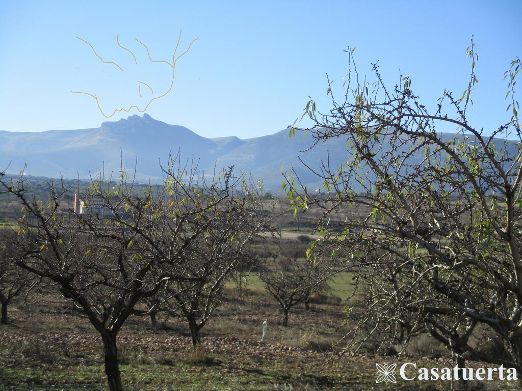 Alcalá de Moncayo Casa Tuerta 빌라 외부 사진