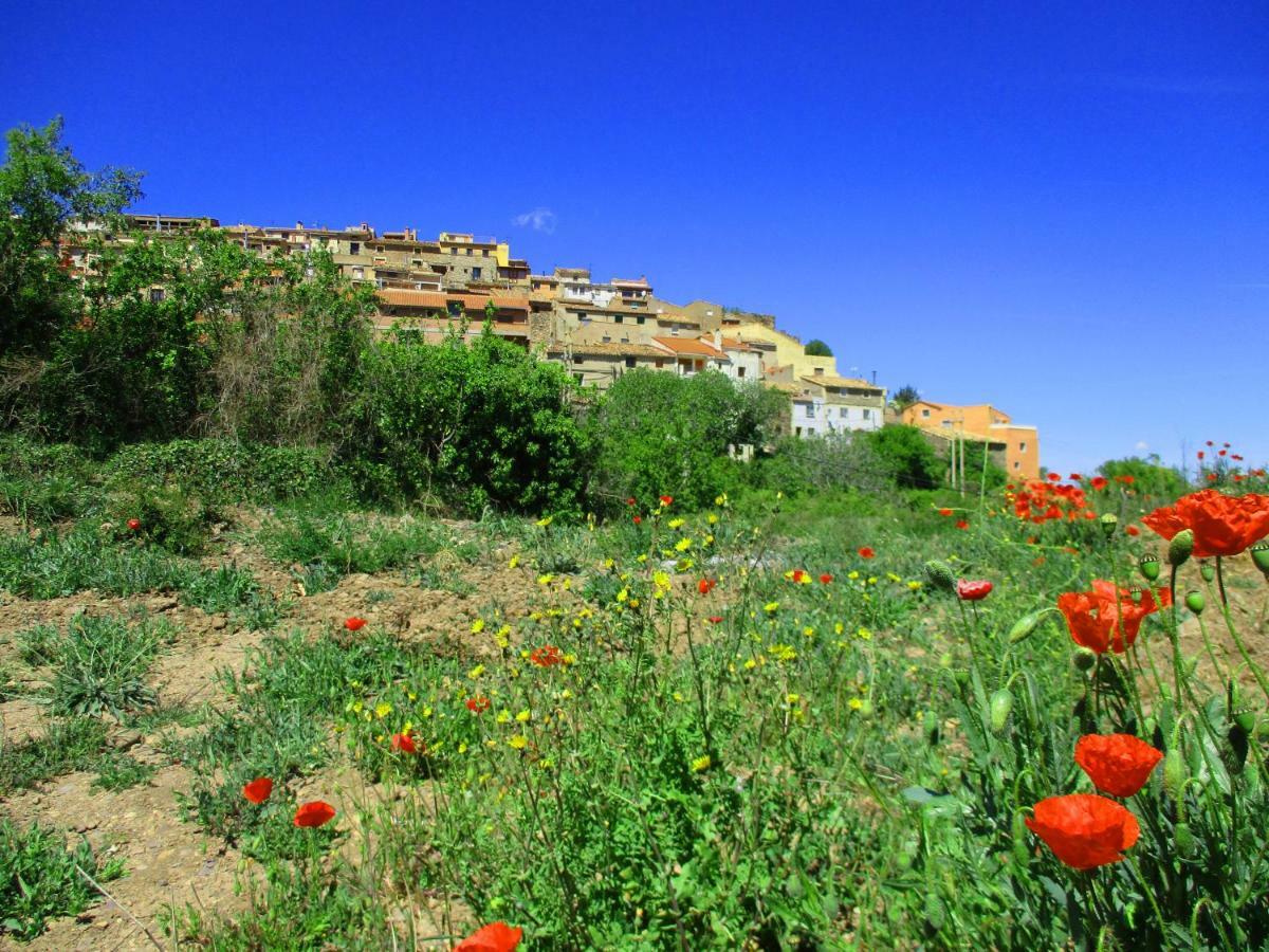 Alcalá de Moncayo Casa Tuerta 빌라 외부 사진