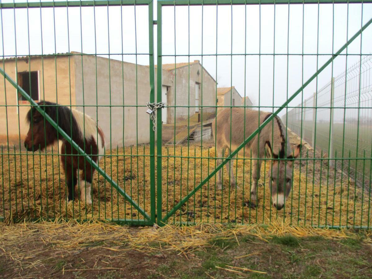 Alcalá de Moncayo Casa Tuerta 빌라 외부 사진