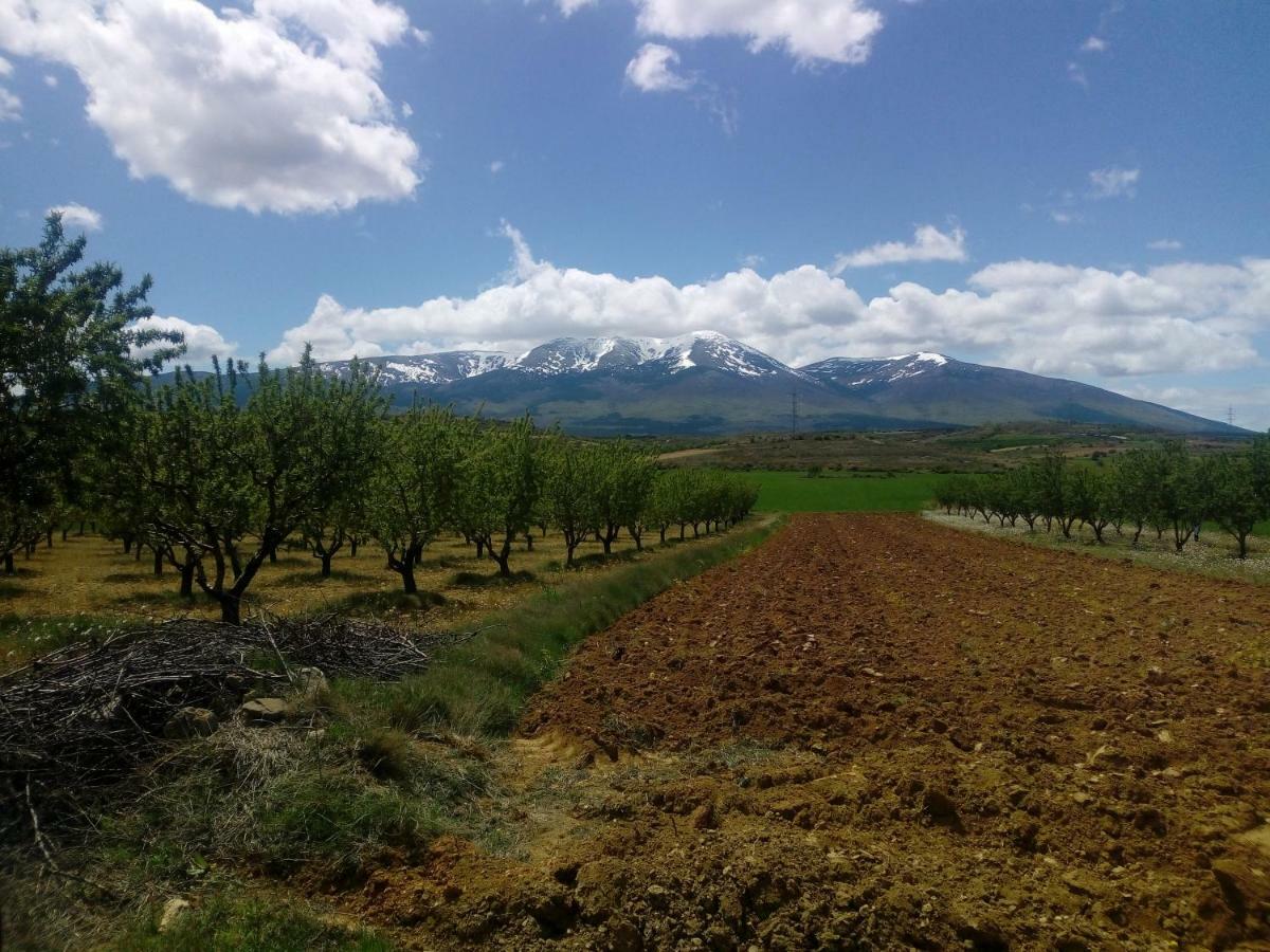 Alcalá de Moncayo Casa Tuerta 빌라 외부 사진